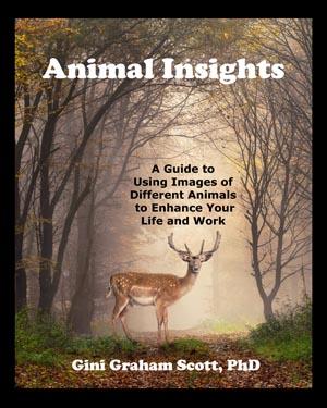 Animal Insights: A Guide